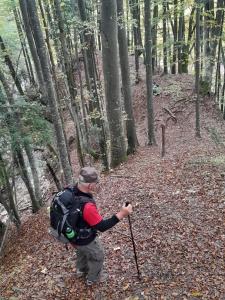 295855133 787783542445743 1757099623185262726 n