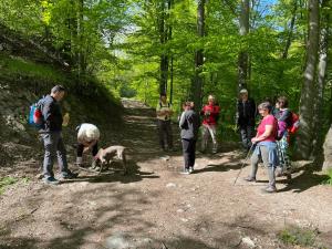 2023. Újra Nagy Hideghegy