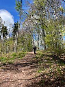 341936720 792769095901180 7426699735084054524 n