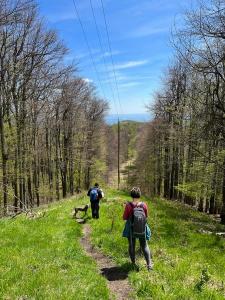 342023395 799618901207359 4517391788385938884 n