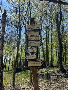 342085789 268254468975958 9046647184326433510 n