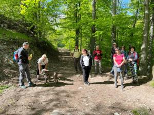 342218157 134047782984482 276947935854059869 n