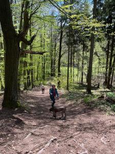 342241675 902032007552175 3517045726619382300 n