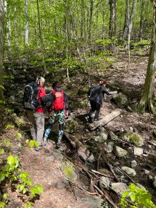 342511351 902323191062456 3493714487144998734 n