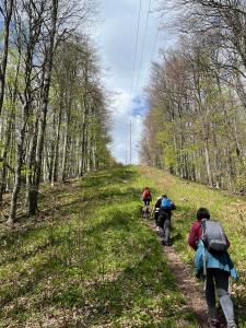 343583781 150666017975723 8759003225205475048 n