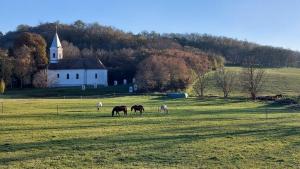 0ad14d88-29d6-4e56-80fb-c3791cdd26b1