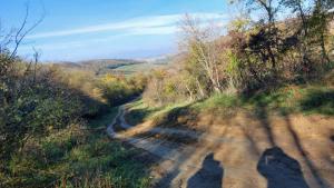 a97be247-3582-457c-9f8e-6d54c6721e36