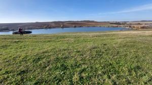 d927f29e-252a-47a4-8717-81507481653d