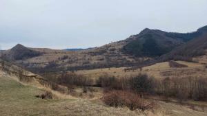 420600955 2188140271578078 7630741890491883377 n