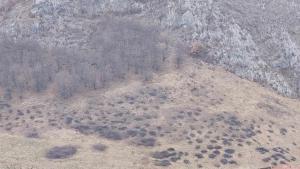 423619270 981142133623068 710592526686178099 n