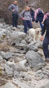 423619573 913329737003447 7497986064802370775 n