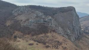 423737736 1309213430468783 9165253376400707723 n