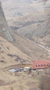 423737766 335300788936473 1213610959303488945 n