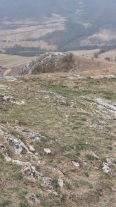 423766109 779916626842076 7773272971896092558 n