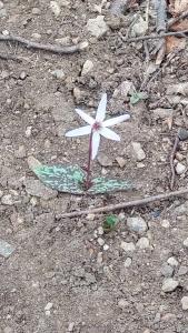 428119126 265694349813553 3121693584561586074 n