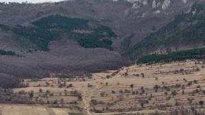 428202323 377736755063912 3396359886087496109 n