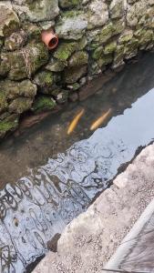 428497504 2144145569288722 6644538294935448016 n