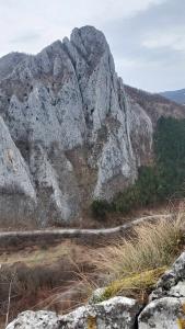 428497724 313229701374062 984313683843589081 n