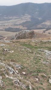 428523574 781818500480598 2029854676222232724 n