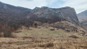 431463093 1150632356286954 7543561032277802257 n