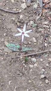 431471980 1159628998743393 4454826005415241831 n