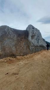 431471985 1153749058879143 7926077678142617537 n