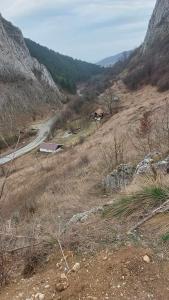 431482315 388117313930713 217744475595118683 n