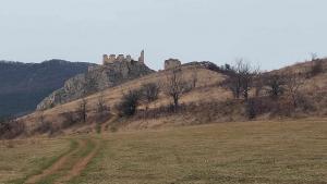 431484252 279298071857307 1874808132944593603 n