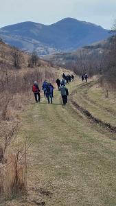 431514284 737638295118403 4601602042358090664 n