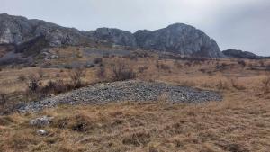 431517573 1049194009481660 7459844188810754701 n