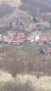 431529159 1488607155021207 3159601618008701776 n