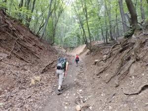 426eb674-b9a6-4abd-9a80-a026229cb746