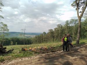 78459a1d-2935-498f-a072-dd2d267f3190