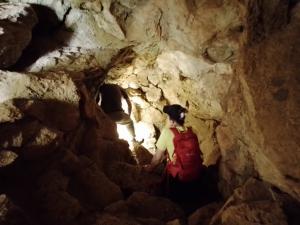 7a25af39-c7c5-41eb-aafd-0eeffec5a52c