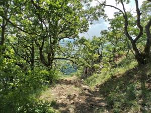 96b7fe75-fbd6-442d-bac0-2d23688bd3f1