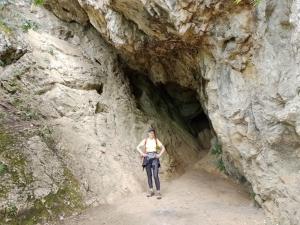 d091ee48-e200-4440-a834-dcfb374b402f