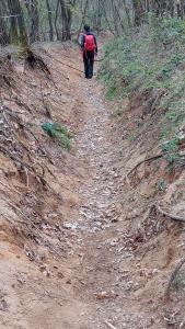 20240329 172603-masolata