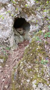 20240330 112135-masolata