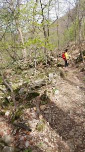 20240330 113630-masolata