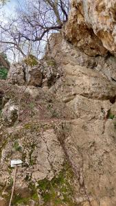 20240330 114442-masolata