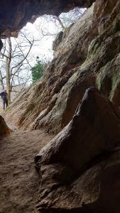 20240330 114926-masolata