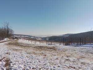 415046537 746582197045192 8795151262506213737 n