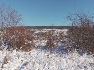 415088207 270011165928175 2646049755245435019 n