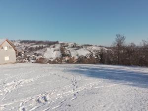 415356443 1075094483705696 7128627397169450866 n