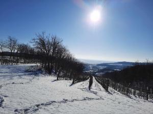 415751516 343554381811954 4920828160767621283 n