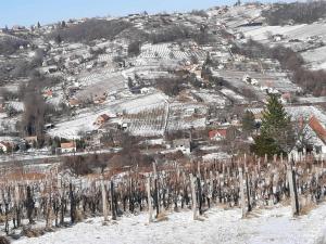 415753143 1514940865959933 8315264475086365116 n