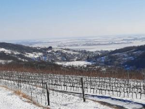 415861285 909022684236005 571246653713368788 n