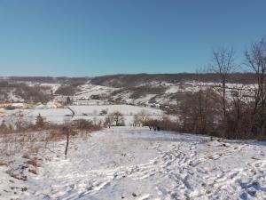 416277969 1033005357814023 6861268458455176406 n