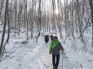 416426258 739420264814766 942036929342740678 n