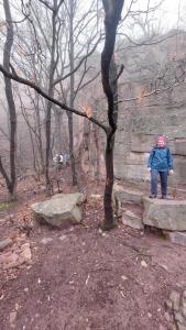 ddc5b694-facd-44f0-a096-669a58fd9570